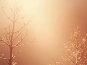 Featured image for article on highlysensitiverelief.com